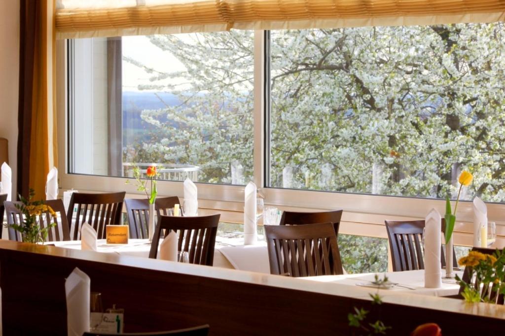 Parkhotel Donauwörth 외부 사진